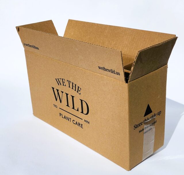 Custom Design Printed corrugated Box with brand logos and message