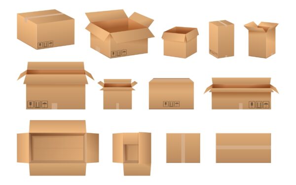 The Ultimate Guide to Cardboard Boxes | BlueRose Packaging
